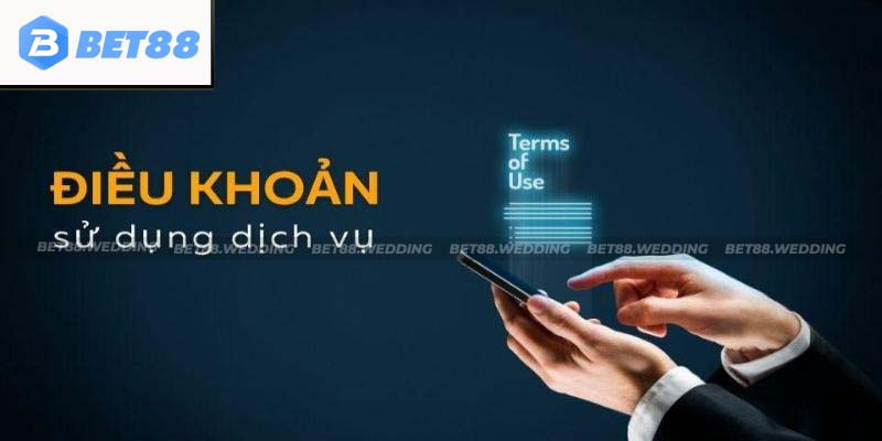 Dịch vụ điều khoản về quyền được miễn trách nhiệm của nhà cái